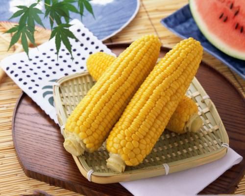 玉米价格最新行情分析 2019玉米补贴政策对玉米有影响?