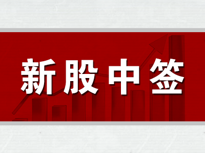 金时科技中签率查询 金时科技中签率是多少？